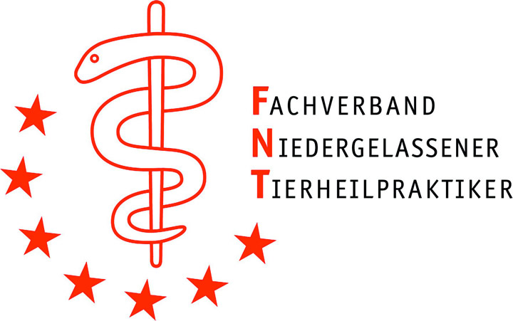 logo-ftn